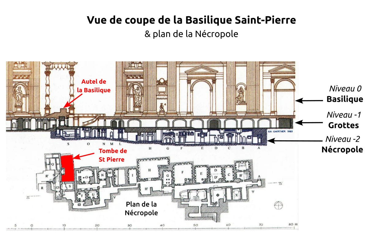 vue de coupe de la Basilique saint pierre avec sous-sol des grottes et de la nécropole